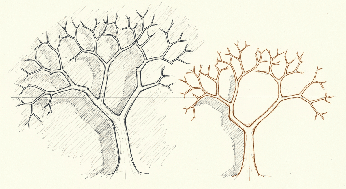 Sketch of an open source dependency tree with healthy and dead branches